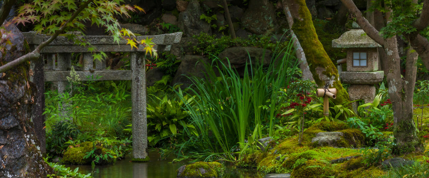 Yokoso ─ willkommen in Japan