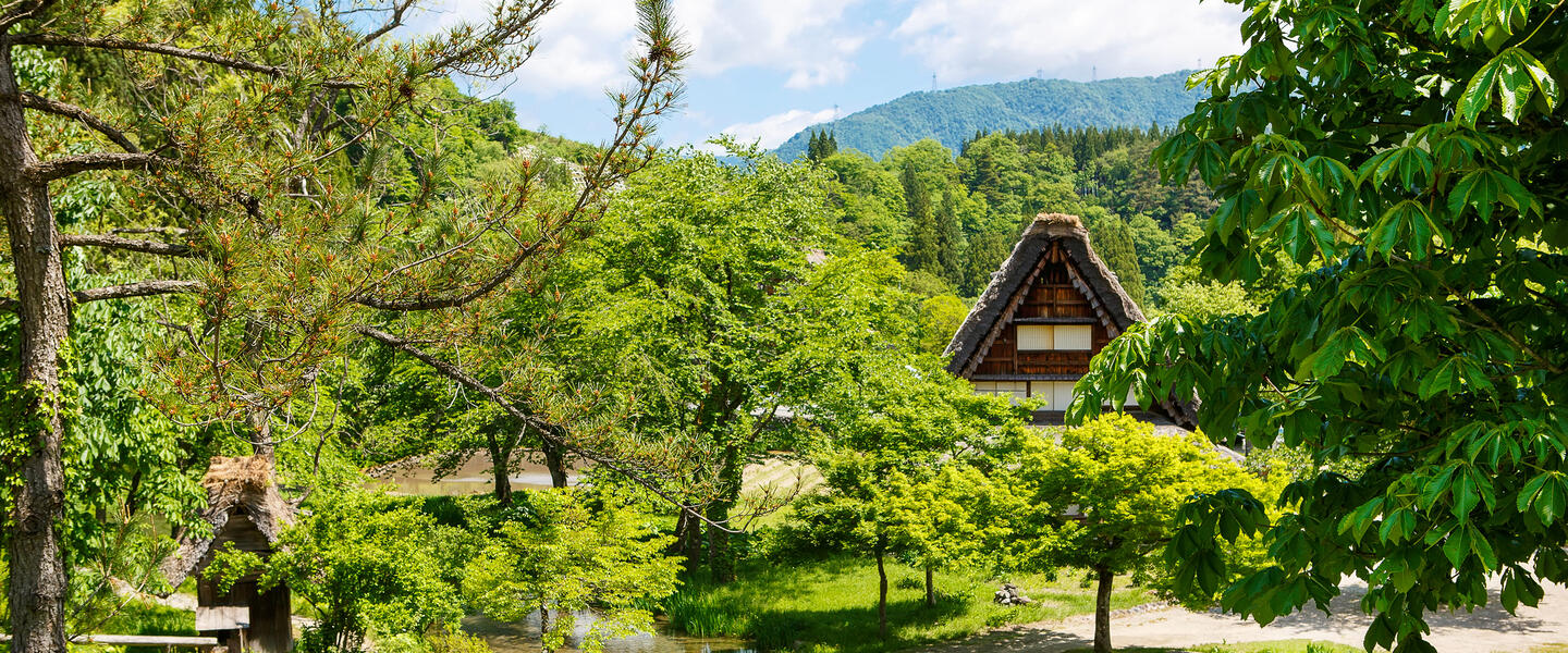 Yokoso ─ willkommen in Japan