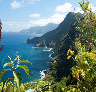 Madeira erwandern