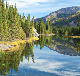 Glanzlichter Alaska und Yukon