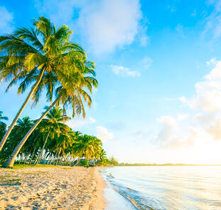 »Isla Majagua«